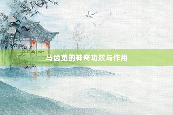 马齿苋的神奇功效与作用